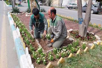 در آستانه  نوروز  
شهر  گلباران شد 
 کاشت  یکصد هزار  عدد گل شب بو و فصلی  در 
#خمینی‌شهر 